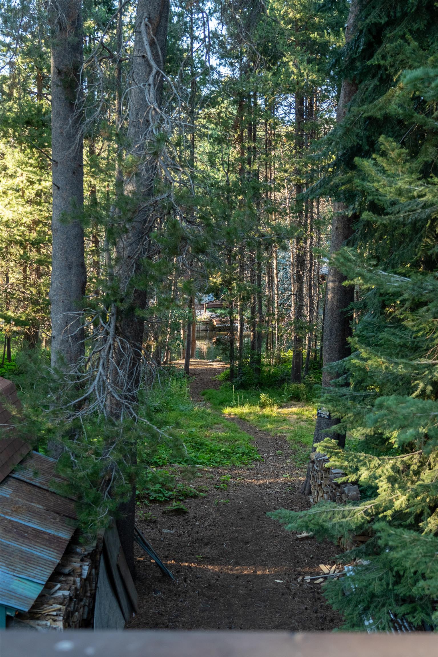 15790 Willow Street Truckee, CA 96161 - Photo 17 of 21 a view of outdoor space and yard