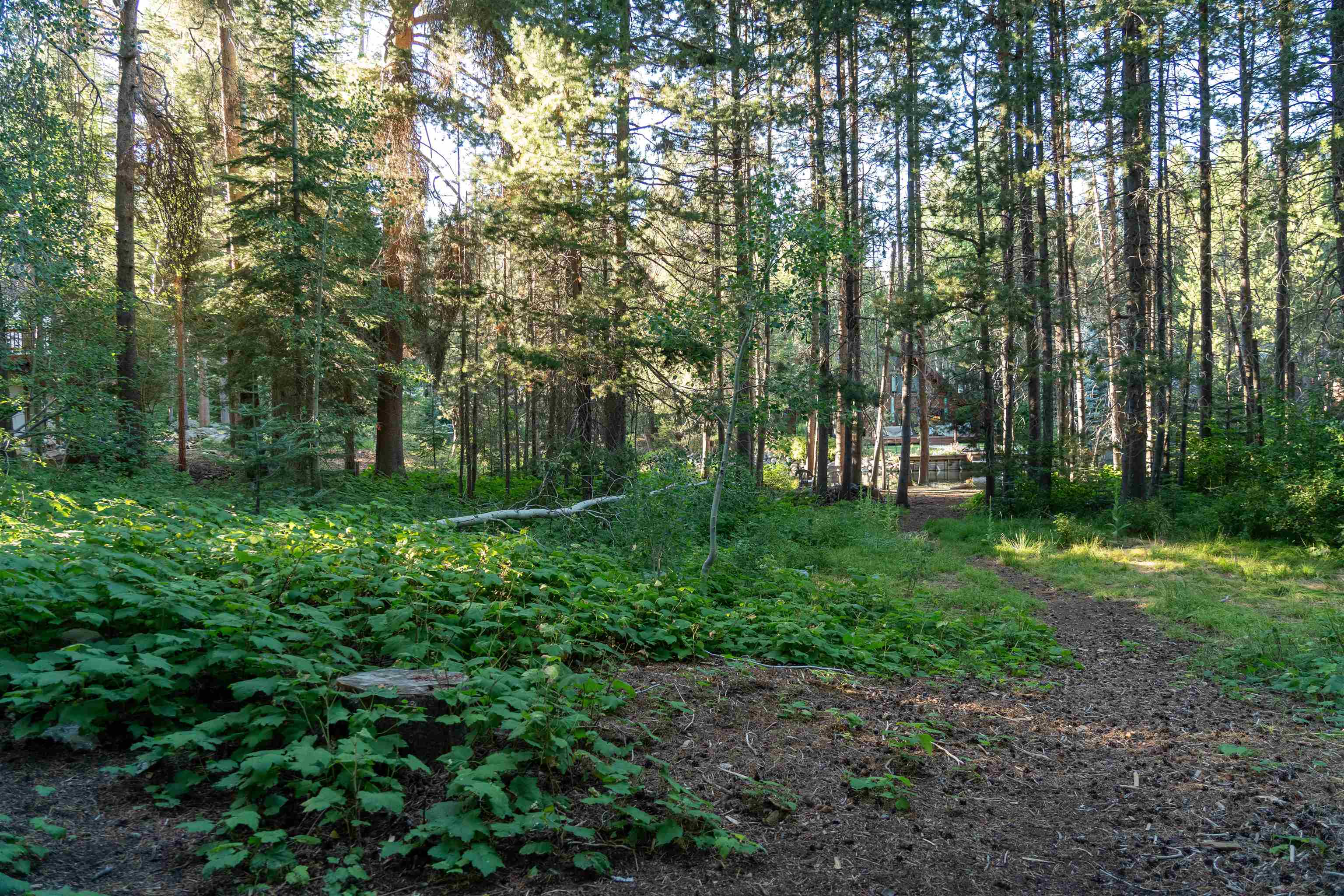 15790 Willow Street Truckee, CA 96161 - Photo 18 of 21 a view of outdoor space and garden