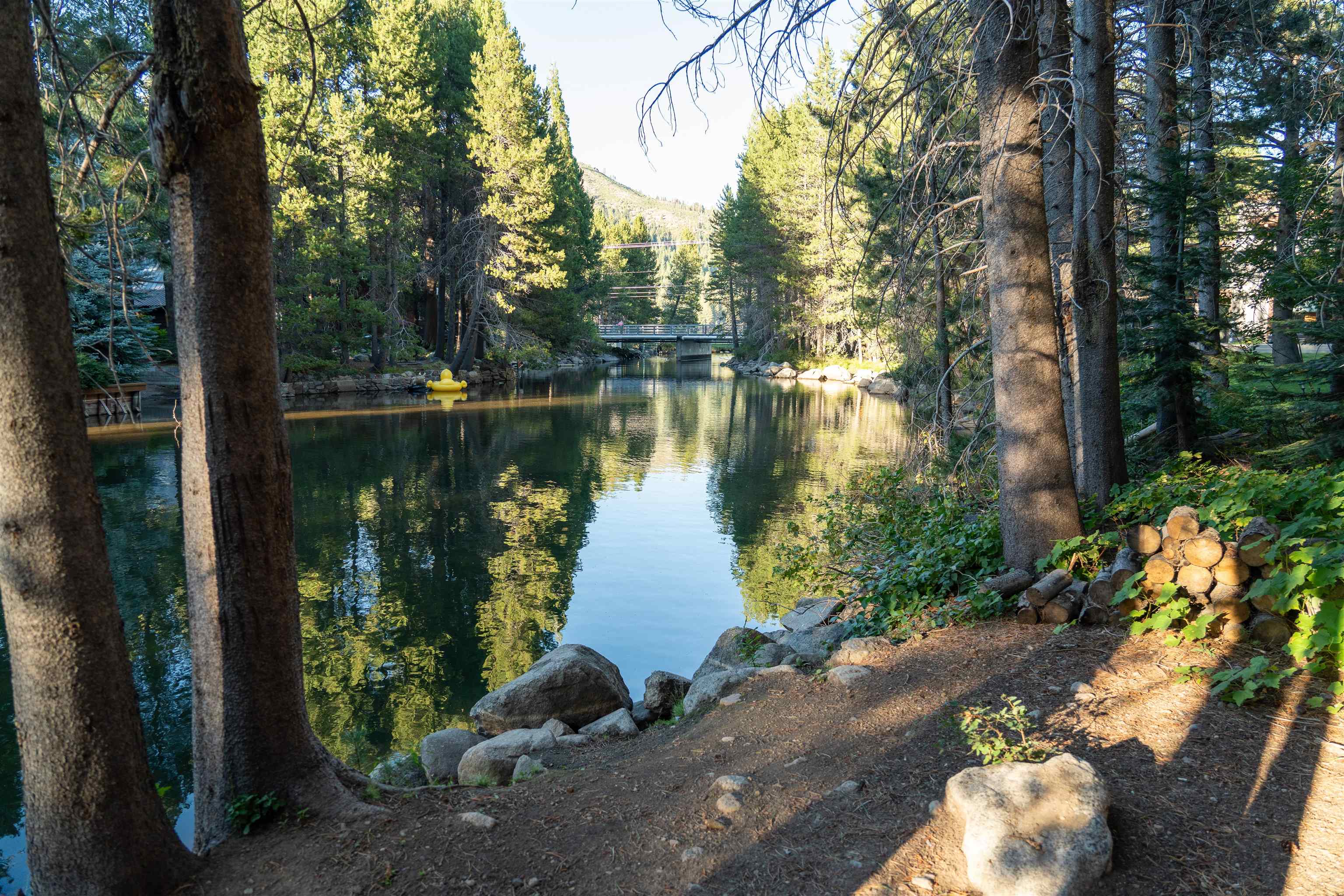 15790 Willow Street Truckee, CA 96161 - Photo 20 of 21 a body of water with a tree in the background