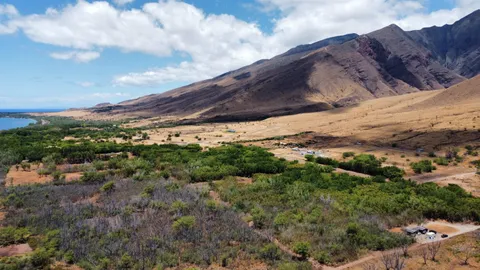 a view of a lot of trees and houses