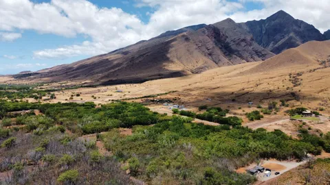 a view of a dry yard with mountains in the background