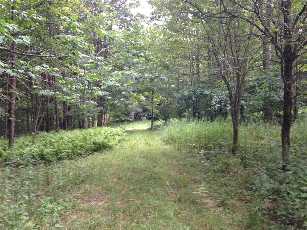 0 Clair Carrier Road Friendship, NY 14739 - Photo 1 of 1 The 1.8 acres once had a half-circle driveway.