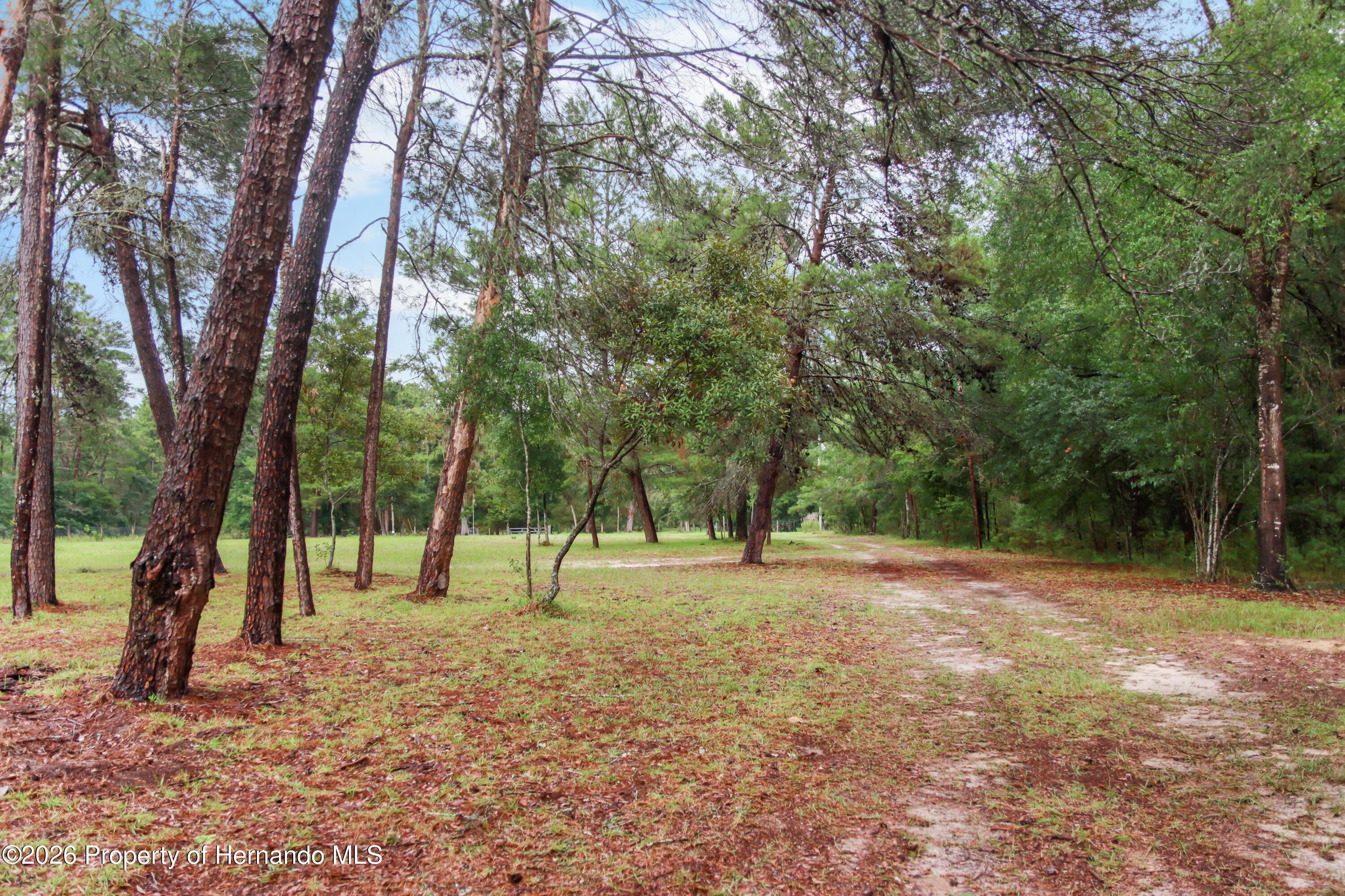 16295 Hibiscus Road Brooksville, FL 34601 - Photo 5 of 39