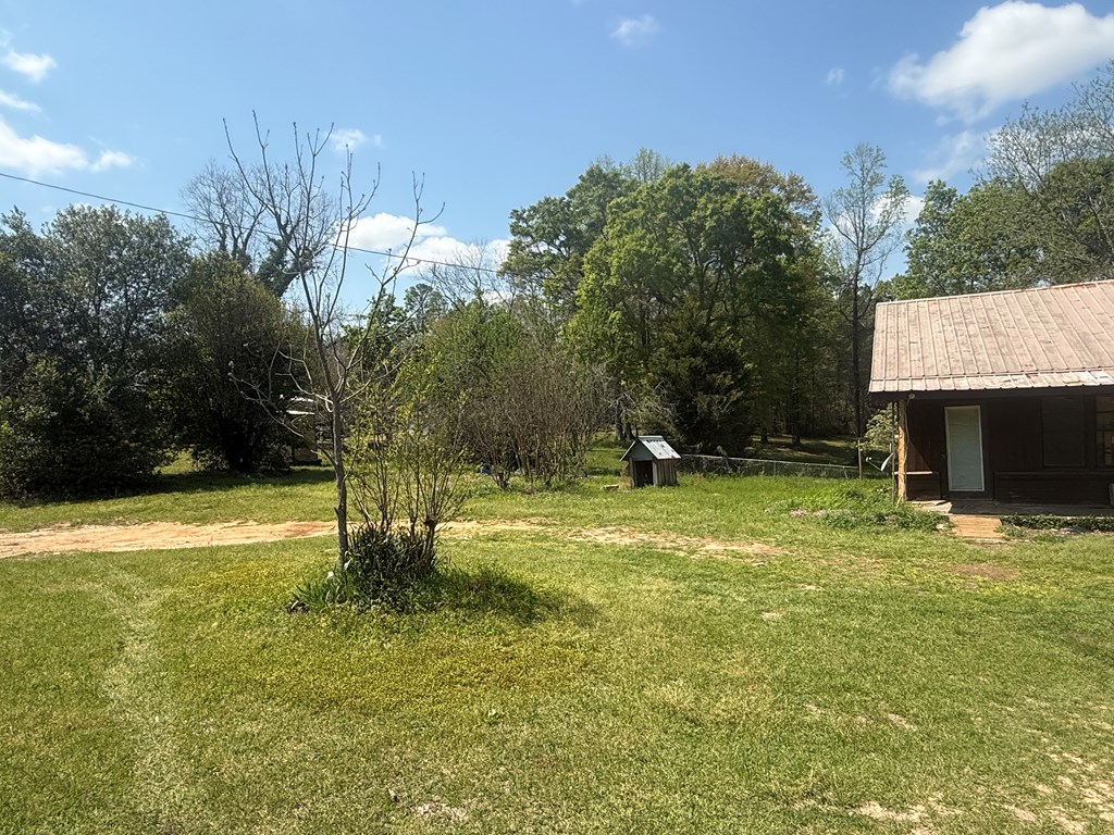 30885 Straughn School Road Andalusia, AL 36421 - Photo 4 of 16