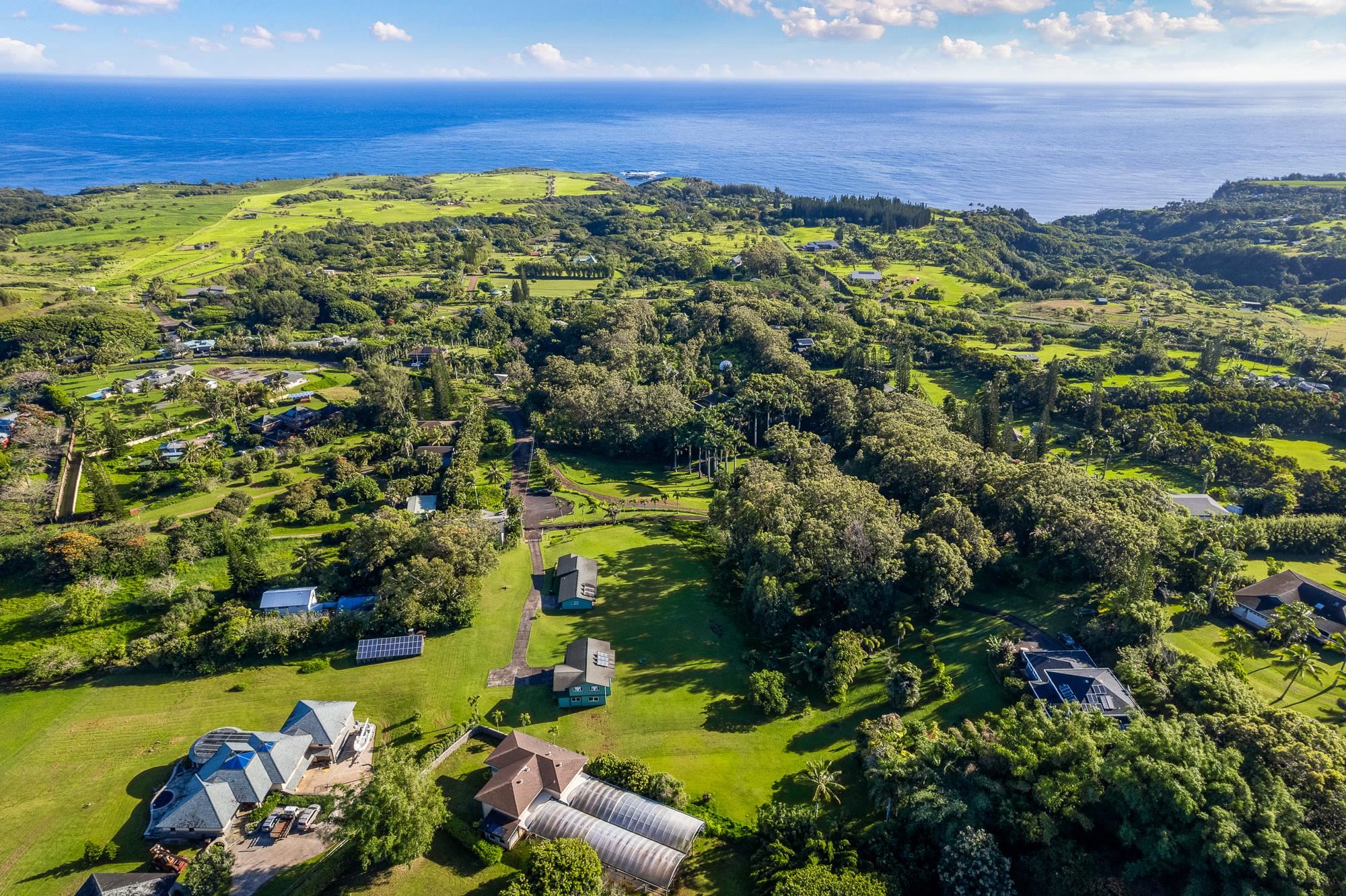 4535 Opana Place Haiku, HI 96708 - Photo 38 of 43 a view of a garden with an ocean