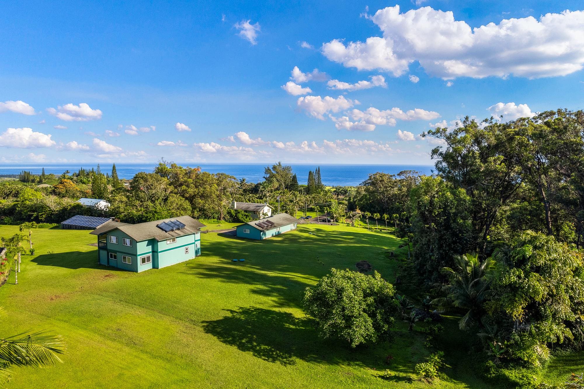 4535 Opana Place Haiku, HI 96708 - Photo 40 of 43 a view of a garden with houses in back