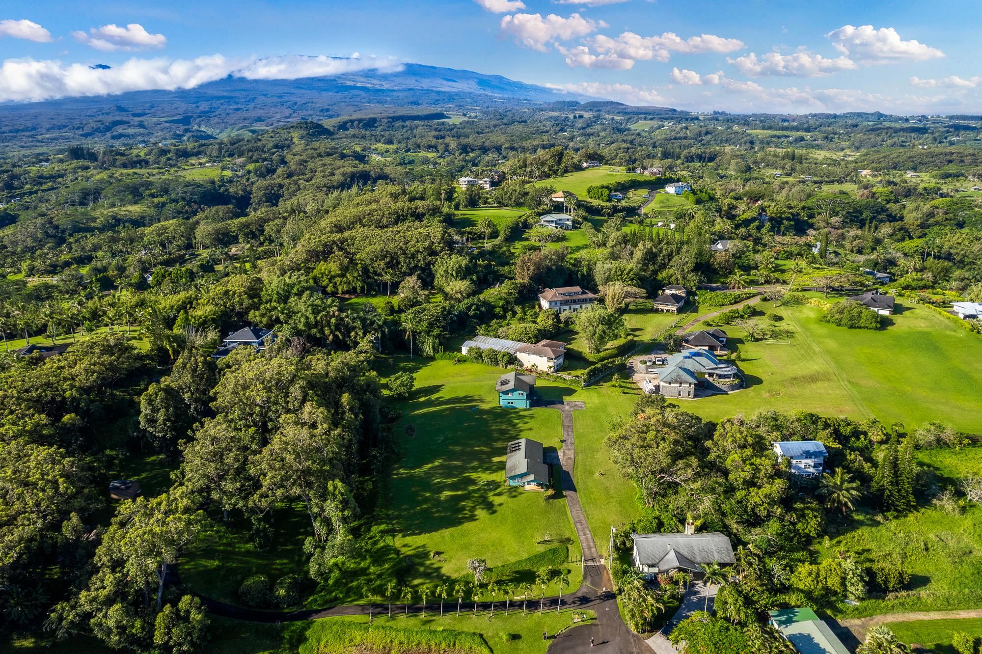 4535 Opana Place Haiku, HI 96708 - Photo 42 of 43 a view of a houses with a lush green forest