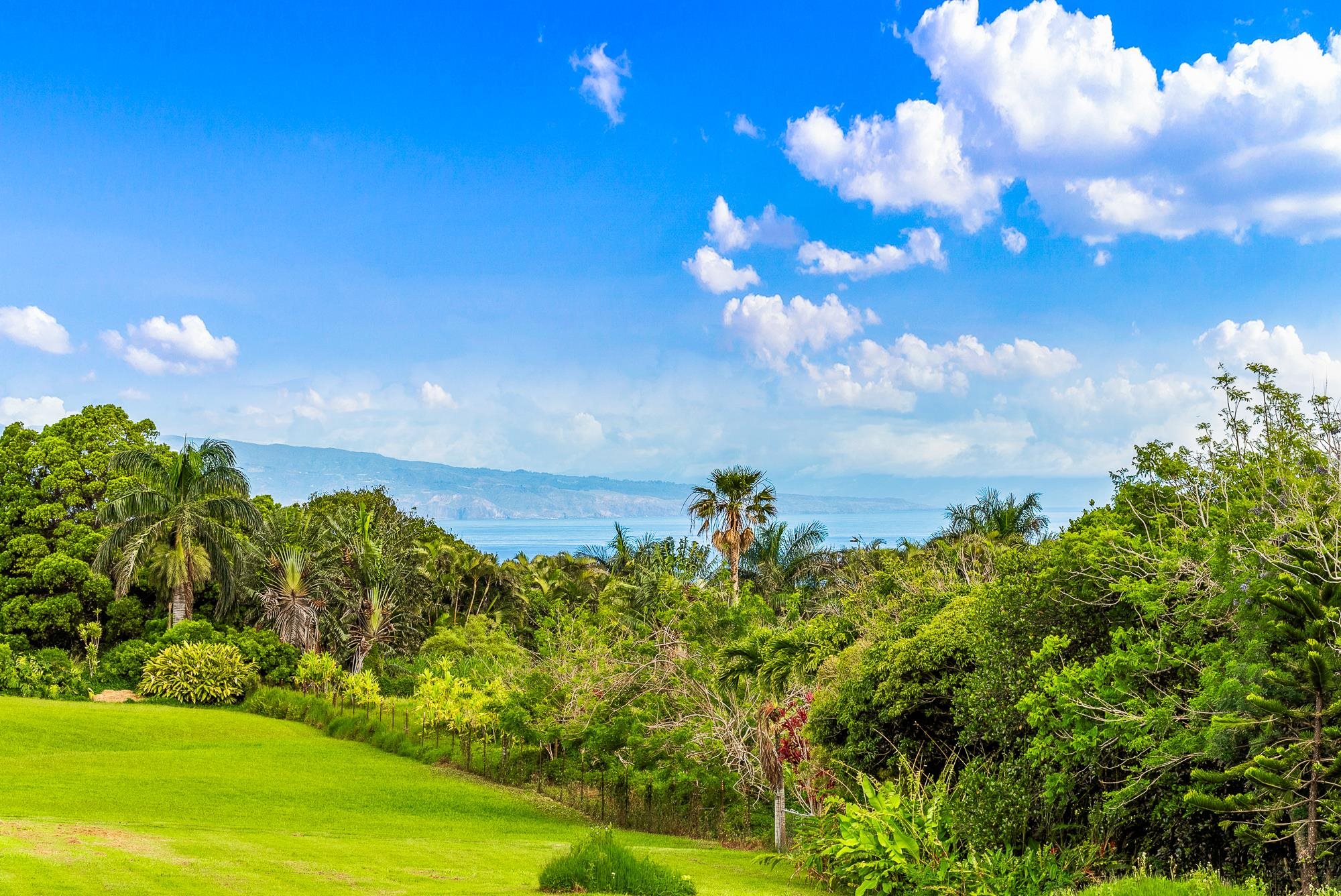 4535 Opana Place Haiku, HI 96708 - Photo 43 of 43 a view of a bunch of trees