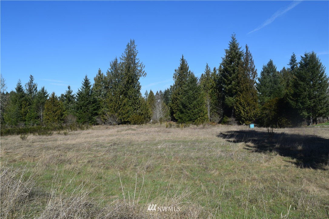 14504 Berry Valley Road Southeast Yelm, WA 98597 - Photo 4 of 17