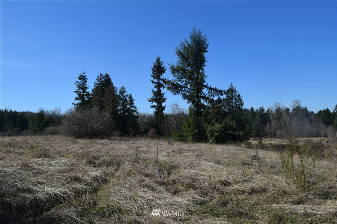 14504 Berry Valley Road Southeast Yelm, WA 98597 - Photo 5 of 17