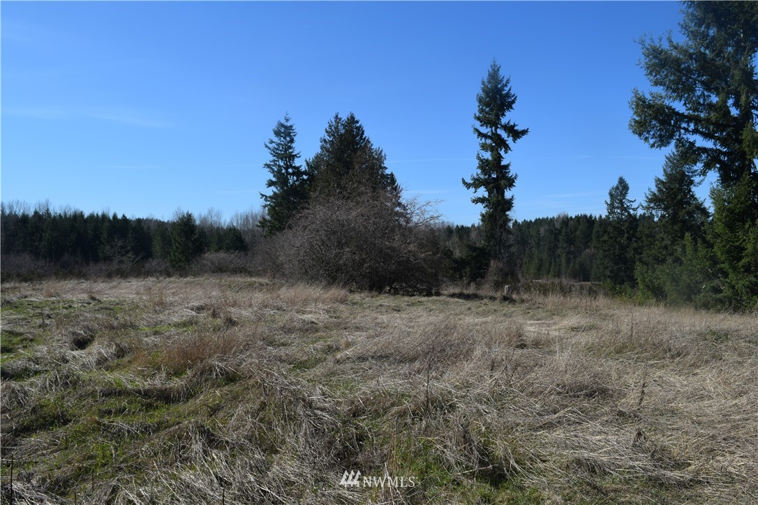 14504 Berry Valley Road Southeast Yelm, WA 98597 - Photo 6 of 17
