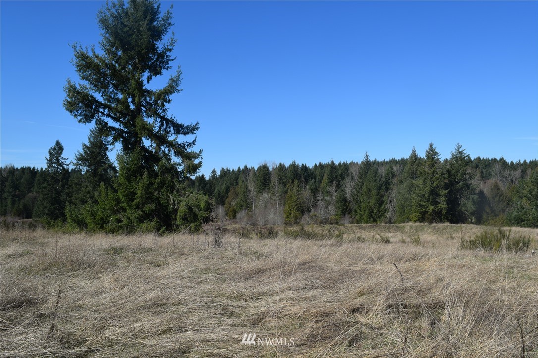 14504 Berry Valley Road Southeast Yelm, WA 98597 - Photo 7 of 17