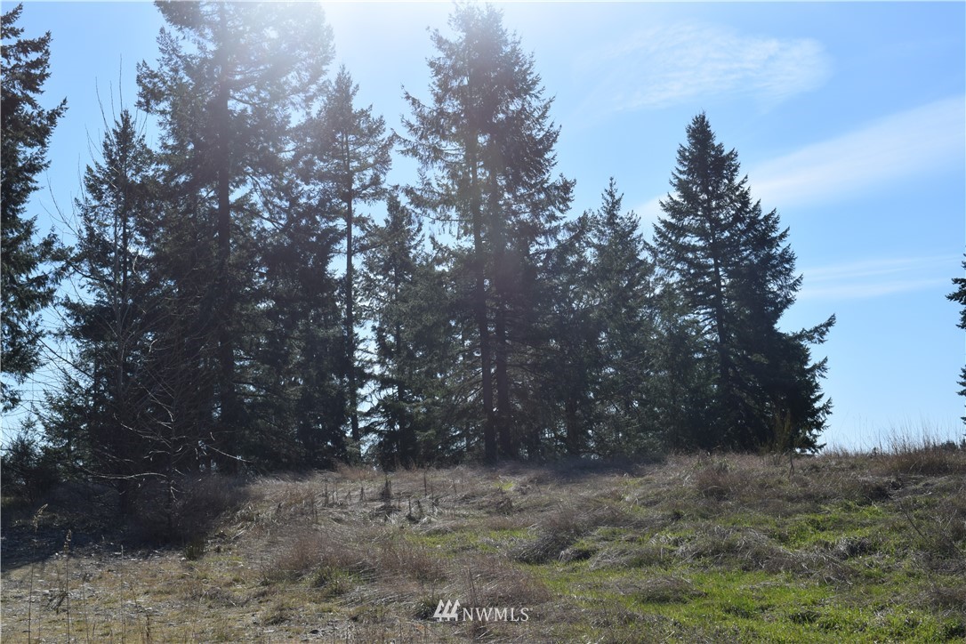 14504 Berry Valley Road Southeast Yelm, WA 98597 - Photo 8 of 17