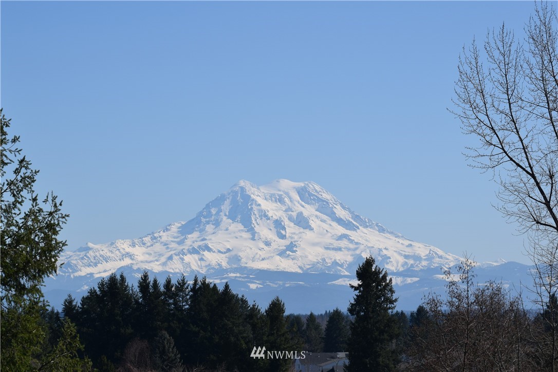 14504 Berry Valley Road Southeast Yelm, WA 98597 - Photo 9 of 17