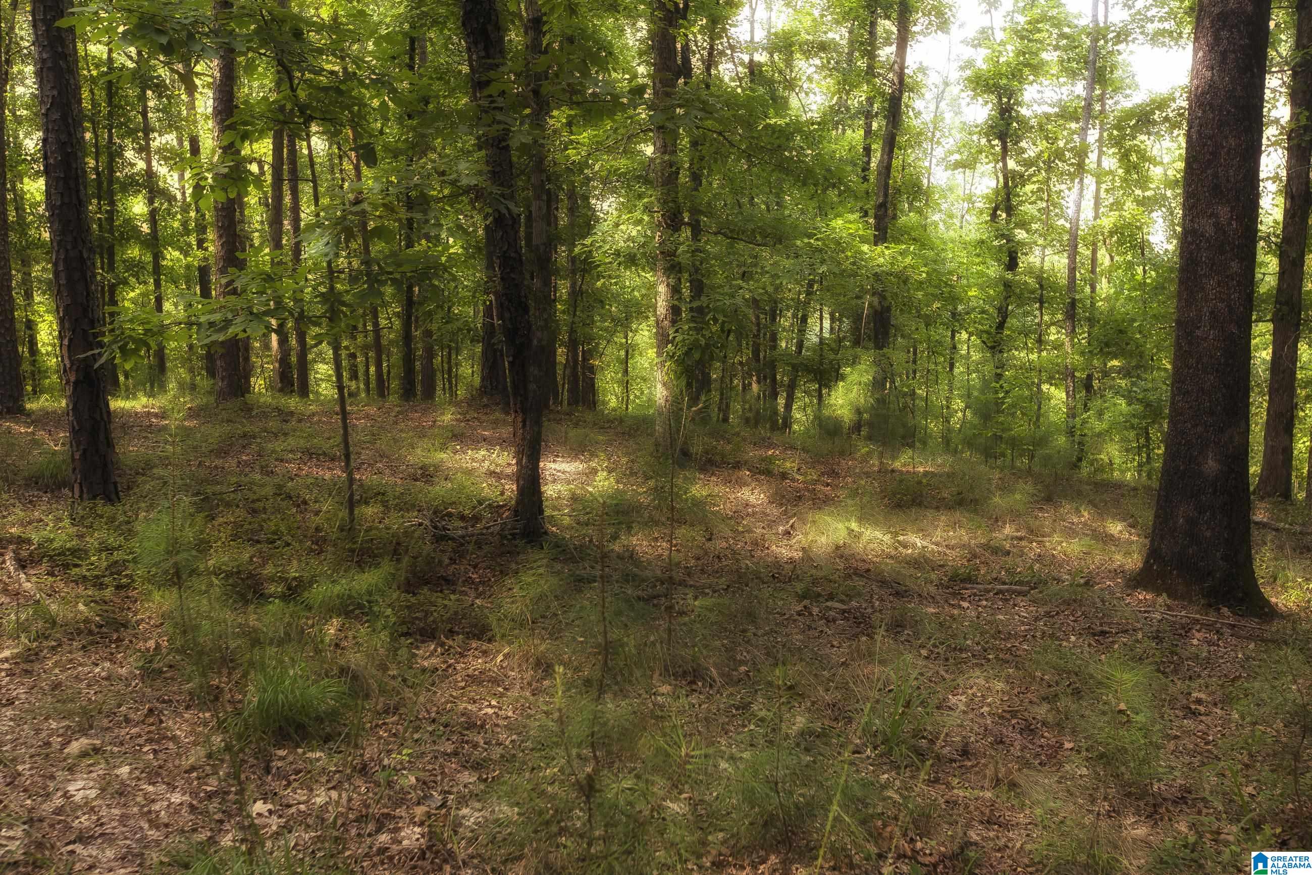 8532 Shady Trail, Unit 401 Helena, AL 35022 - Photo 11 of 25