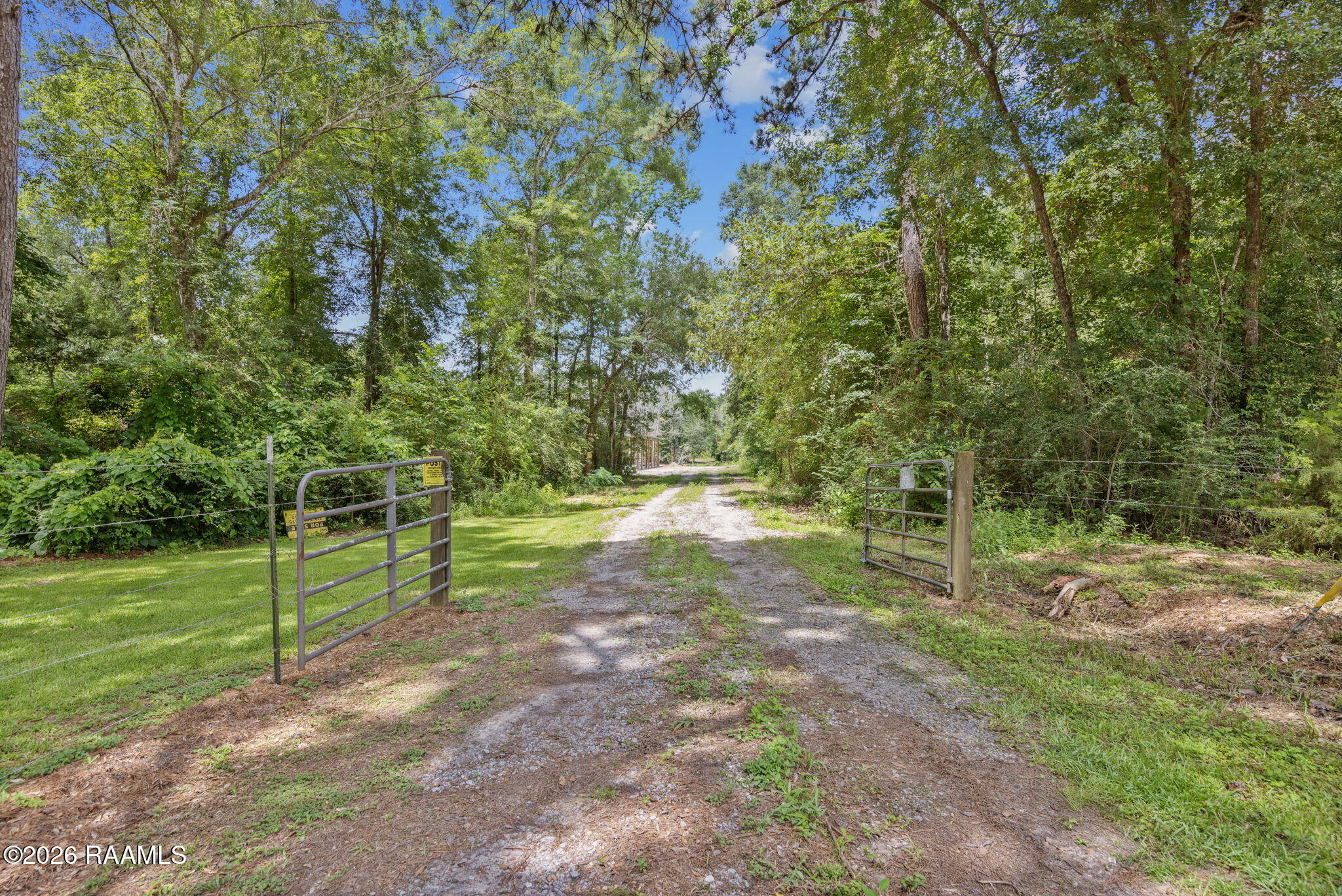 301 Crabapple Road Iota, LA 70543 - Photo 3 of 40 3-web-or-mls-803A6127