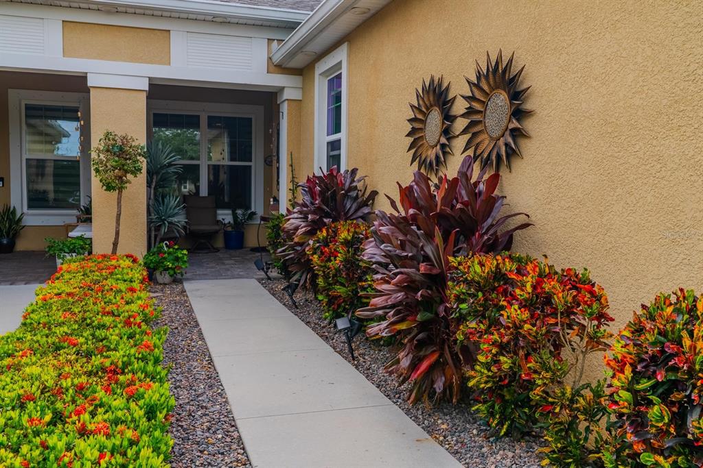 11716 Wrought Pine Loop Riverview, FL 33569 - Photo 3 of 57