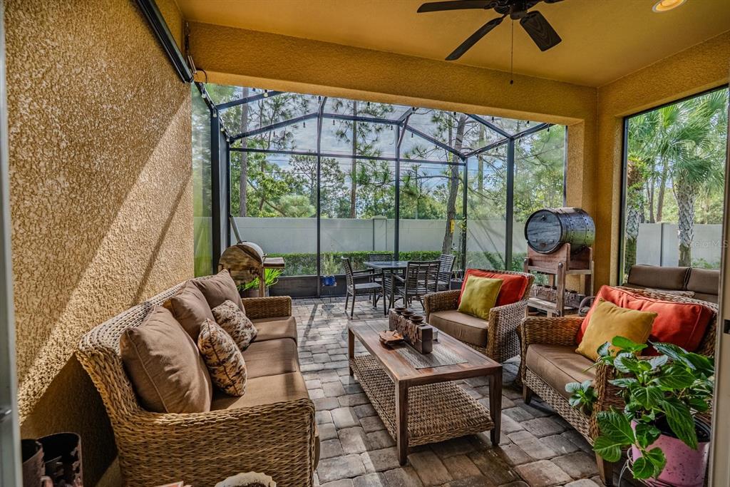 11716 Wrought Pine Loop Riverview, FL 33569 - Photo 38 of 57