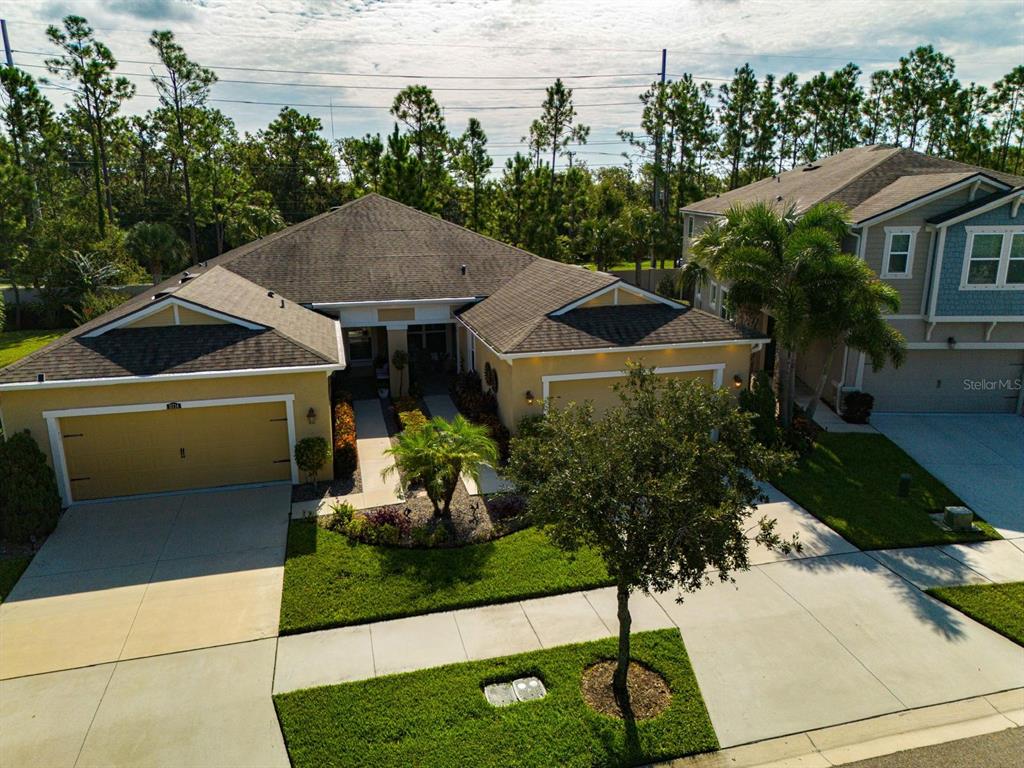 11716 Wrought Pine Loop Riverview, FL 33569 - Photo 46 of 57