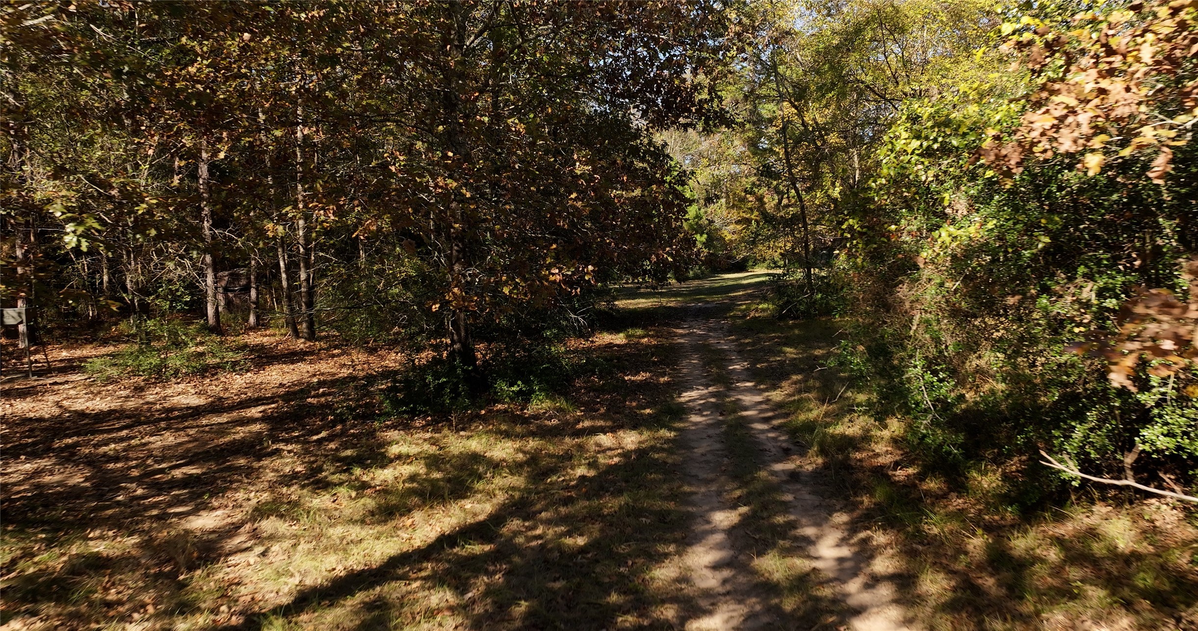 12526 Pearson Road Montgomery, TX 77356 - Photo 7 of 9