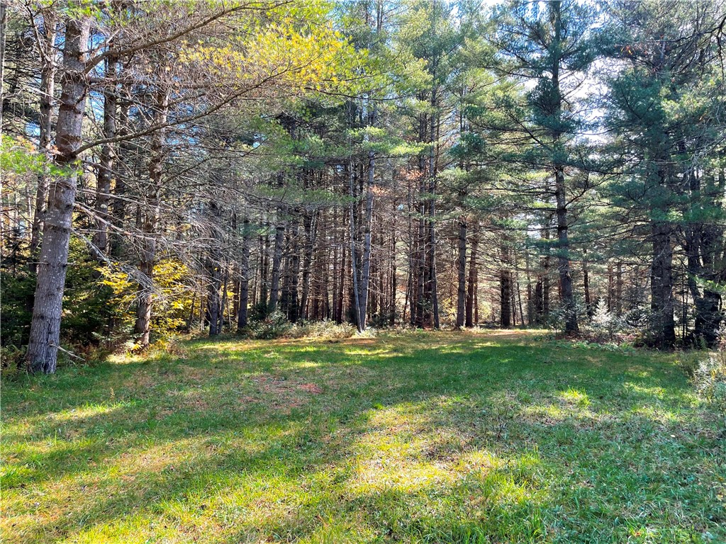 Lot 33 Nellis Road Ohio, NY 13324 - Photo 1 of 1 Gallery Image 1