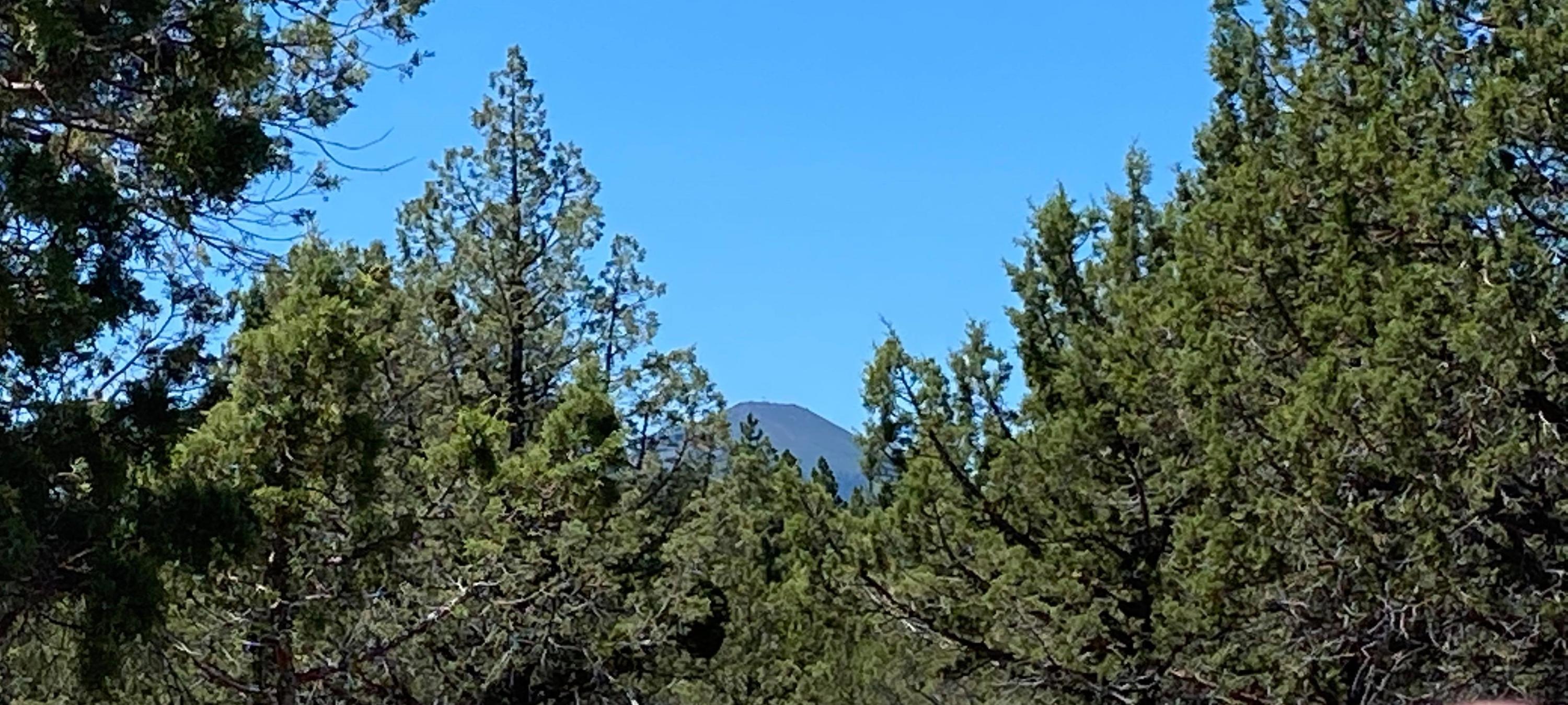 17740 Mountain View Road Sisters, OR 97759 - Photo 4 of 13 Some trees are being cut to open up this view