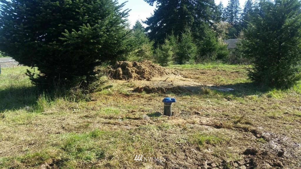 253 Tennessee Road Winlock, WA 98596 - Photo 11 of 12