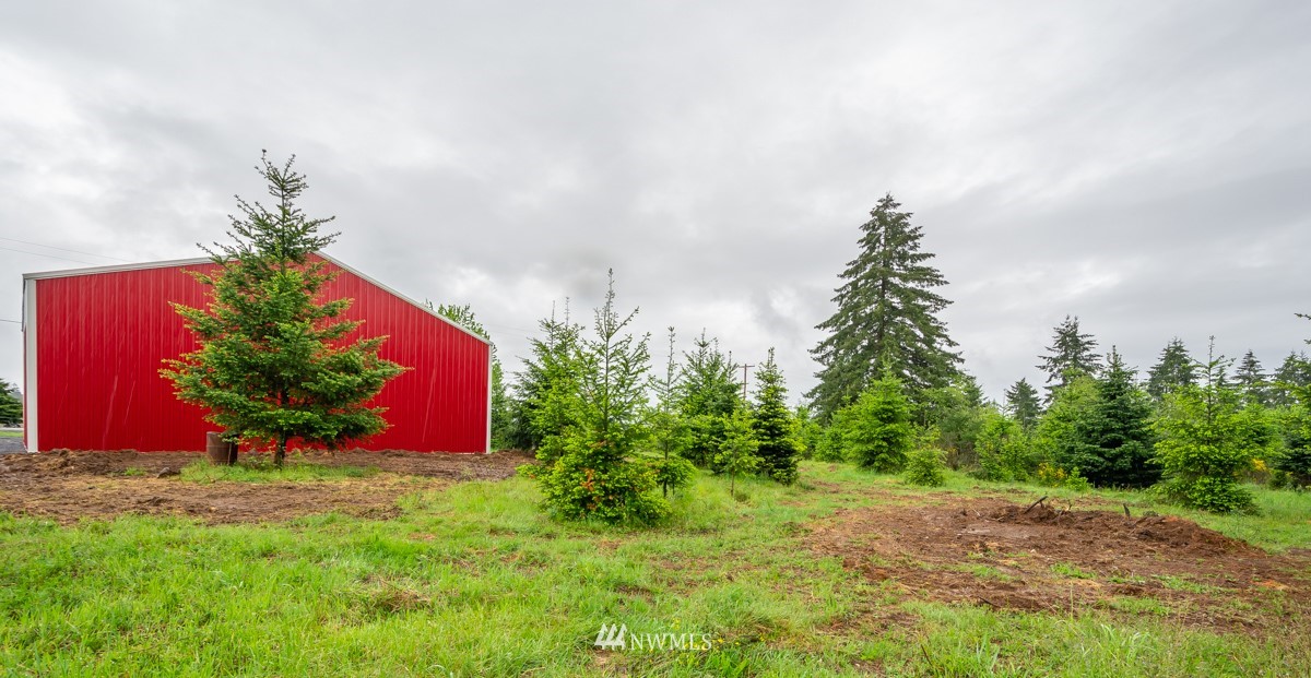 253 Tennessee Road Winlock, WA 98596 - Photo 4 of 12