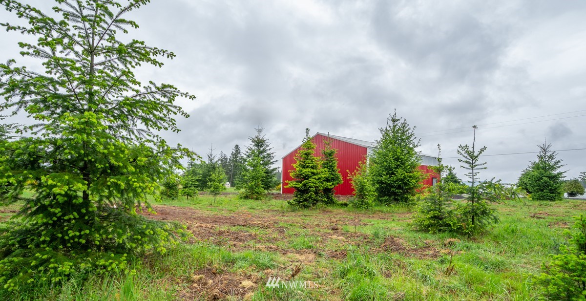 253 Tennessee Road Winlock, WA 98596 - Photo 5 of 12