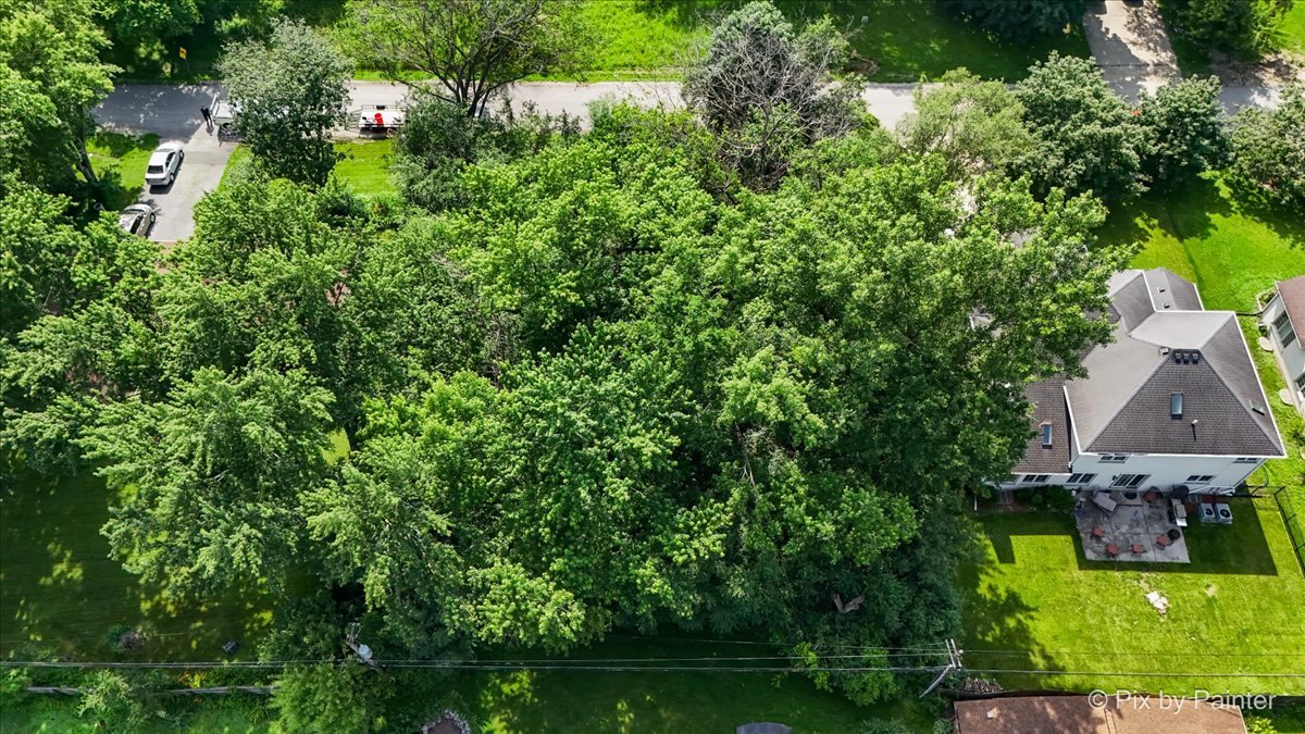 4N155 Niles Avenue Addison, IL 60101 - Photo 20 of 22