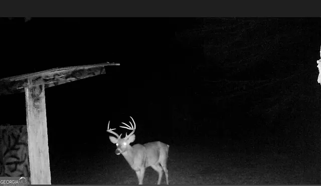 a view of a outdoor space