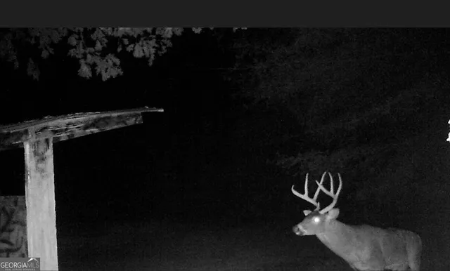 $499,000 | 2734 Flat Shoals Road, Unit 19, Concord, GA 30206