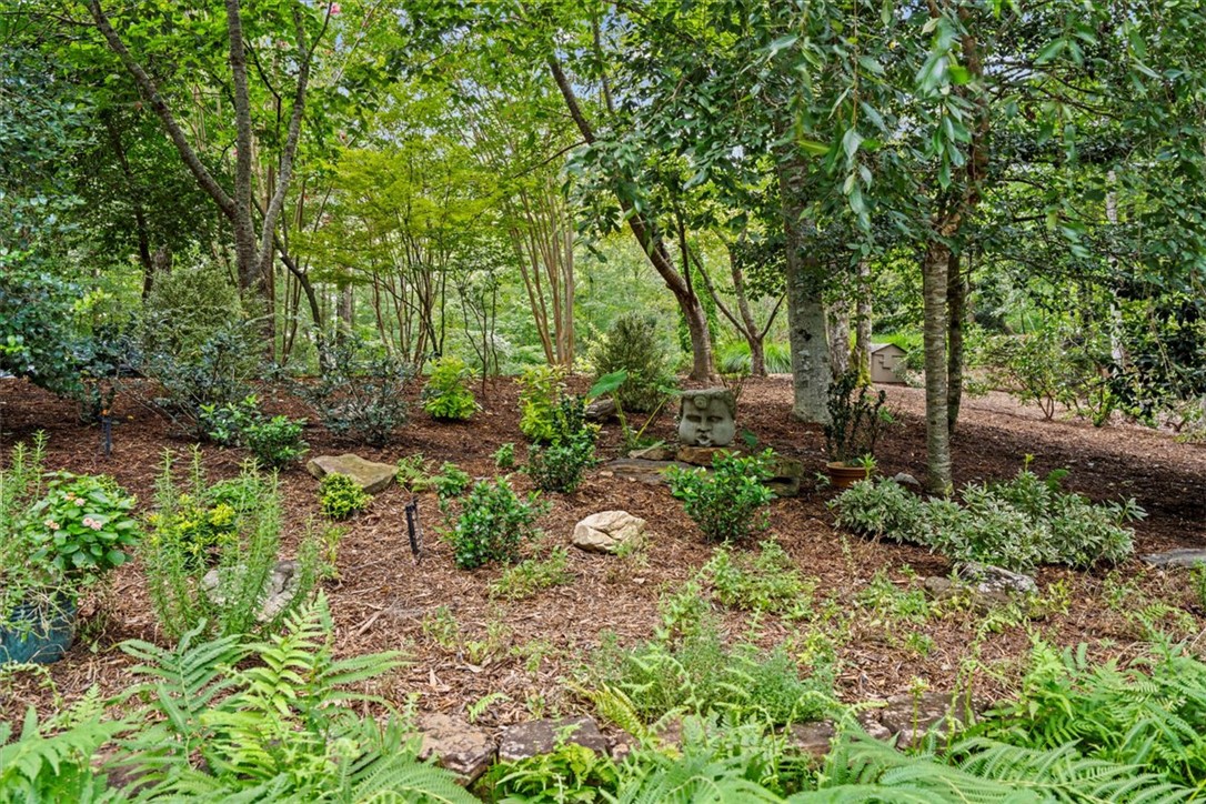 205 Pitcher Plant Lane Sunset, SC 29685 - Photo 36 of 45