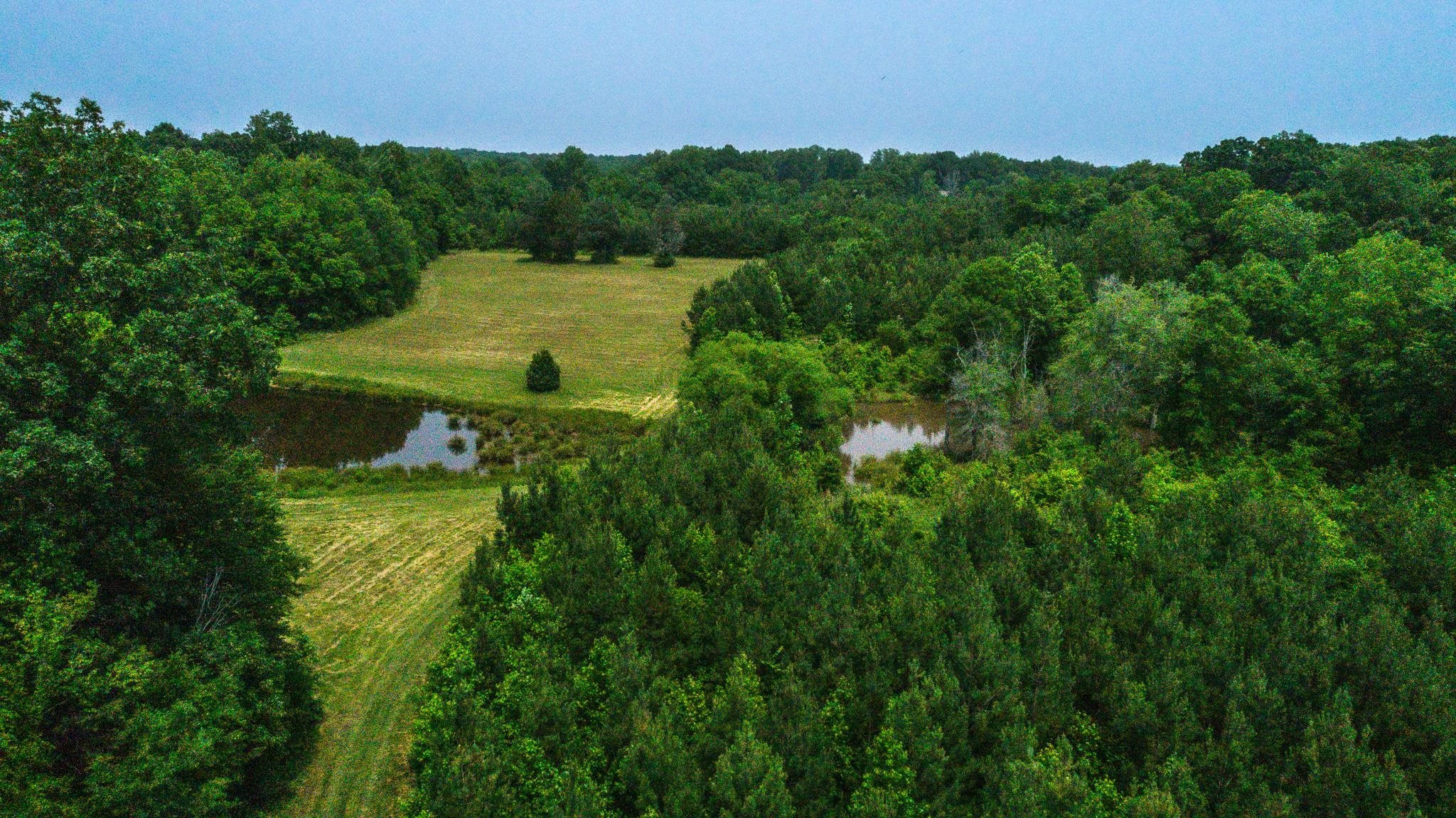 46-acres Durham Road Timberlake, NC 27583 - Photo 11 of 38 Photo 11