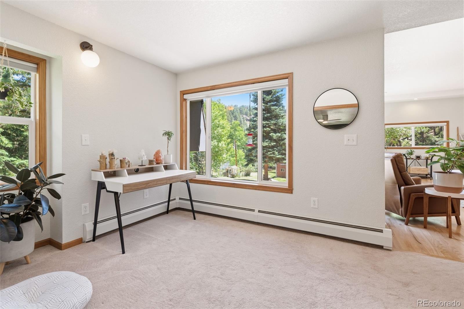 384 Brookside Drive Bailey, CO 80421 - Photo 19 of 50