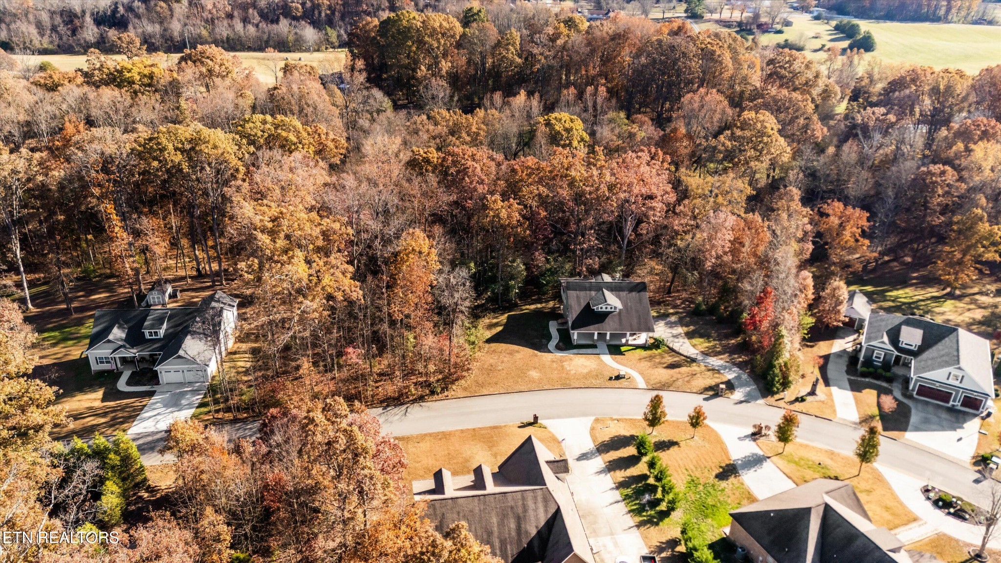 1059 Houston Springs Road Greenback, TN 37742 - Photo 5 of 49