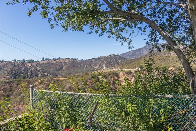 a view of a forest with a mountain