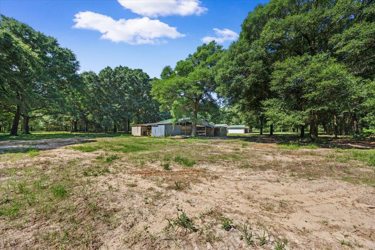 12400 Wildlife Road Holt, FL 32564 - Photo 23 of 62