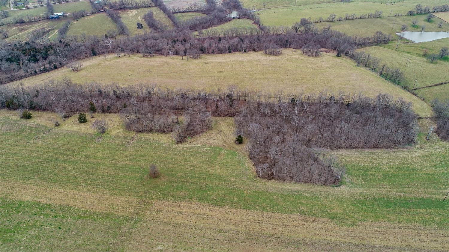 1 Monson/lake Road Cynthiana, KY 41031 - Photo 4 of 23 Photo 4