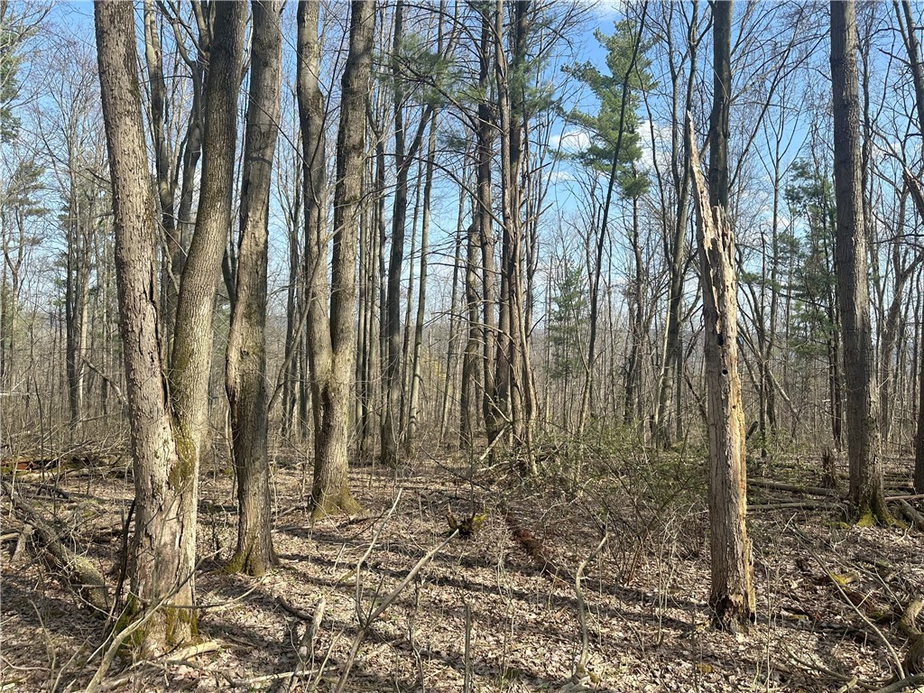 Gulick Road Naples, NY 14512 - Photo 11 of 19