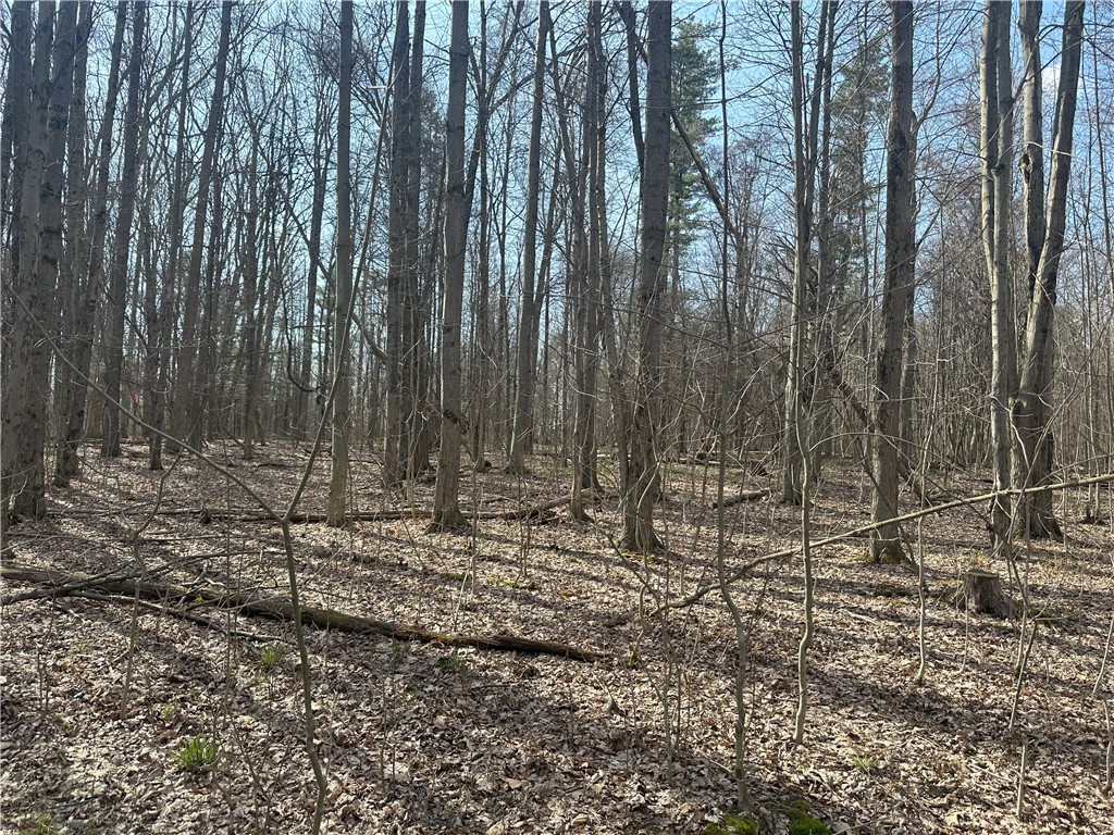 Gulick Road Naples, NY 14512 - Photo 12 of 19