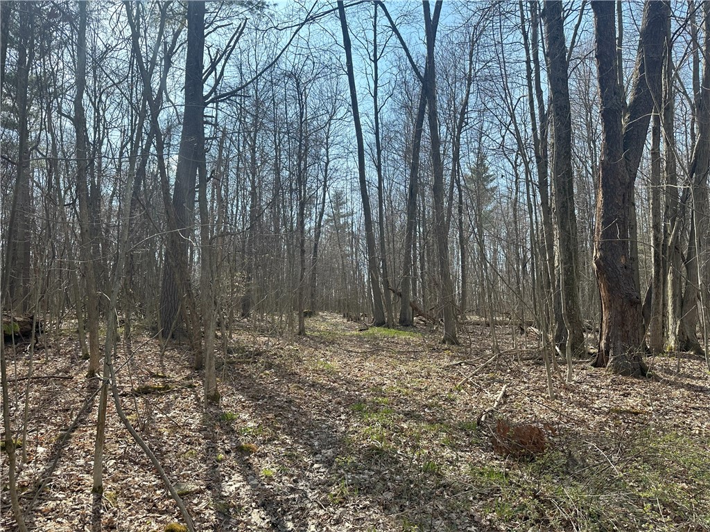 Gulick Road Naples, NY 14512 - Photo 14 of 19