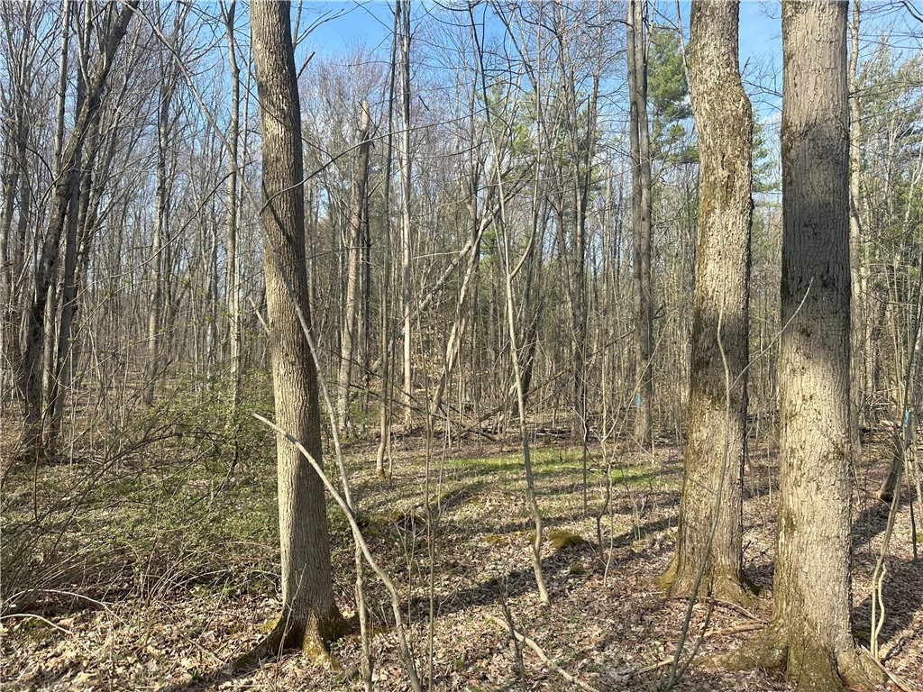 Gulick Road Naples, NY 14512 - Photo 16 of 19