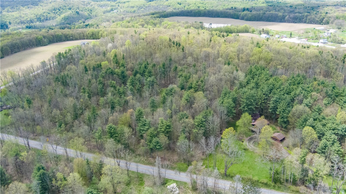 Gulick Road Naples, NY 14512 - Photo 19 of 19