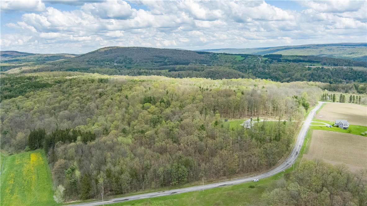 Gulick Road Naples, NY 14512 - Photo 2 of 19