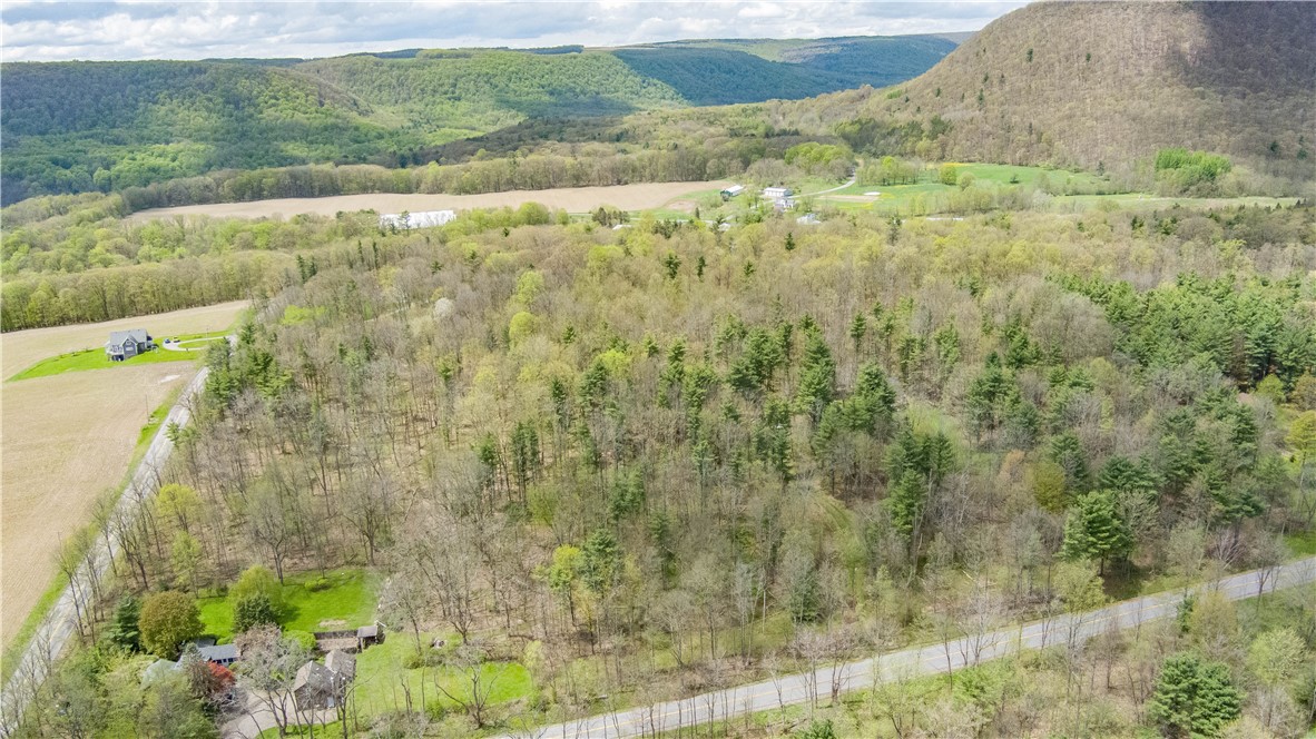 Gulick Road Naples, NY 14512 - Photo 3 of 19