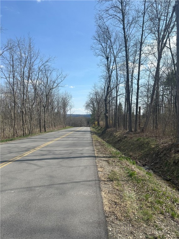 Gulick Road Naples, NY 14512 - Photo 4 of 19