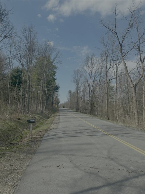 Gulick Road Naples, NY 14512 - Photo 5 of 19