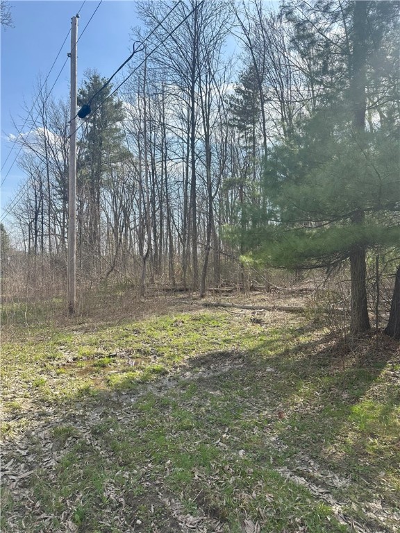 Gulick Road Naples, NY 14512 - Photo 6 of 19