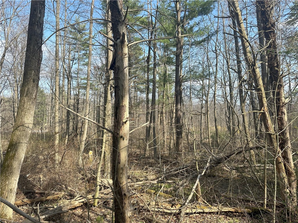 Gulick Road Naples, NY 14512 - Photo 7 of 19